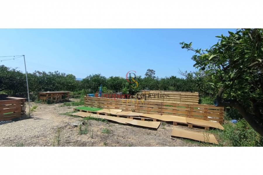 Sale - Apartment - Oliva - 