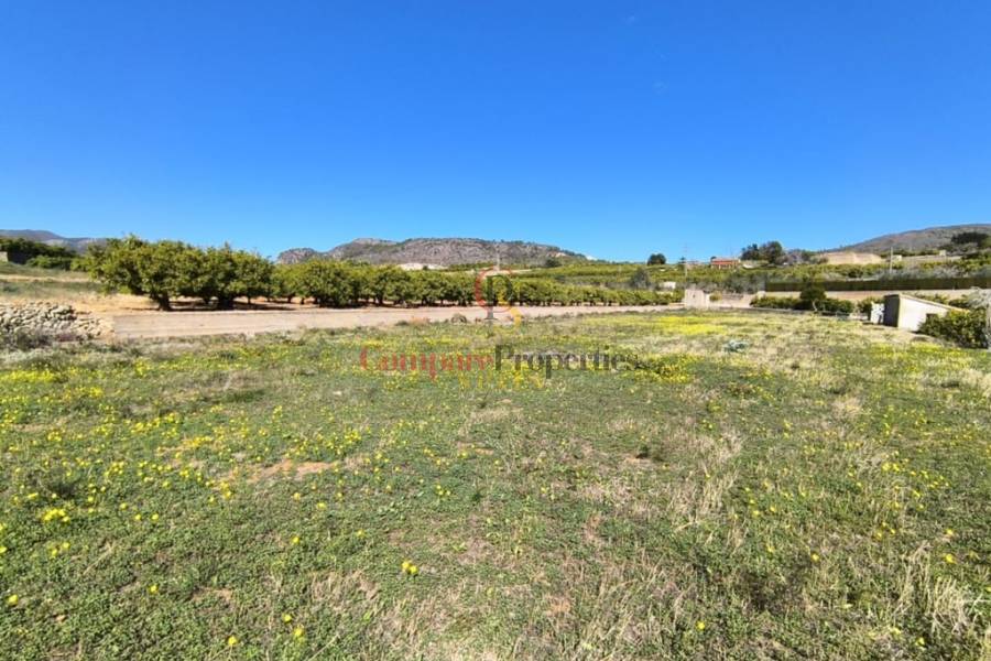 Verkauf - Apartment - Pego