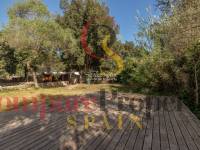 Vente - Apartment - Sa Pobla - Mallorca