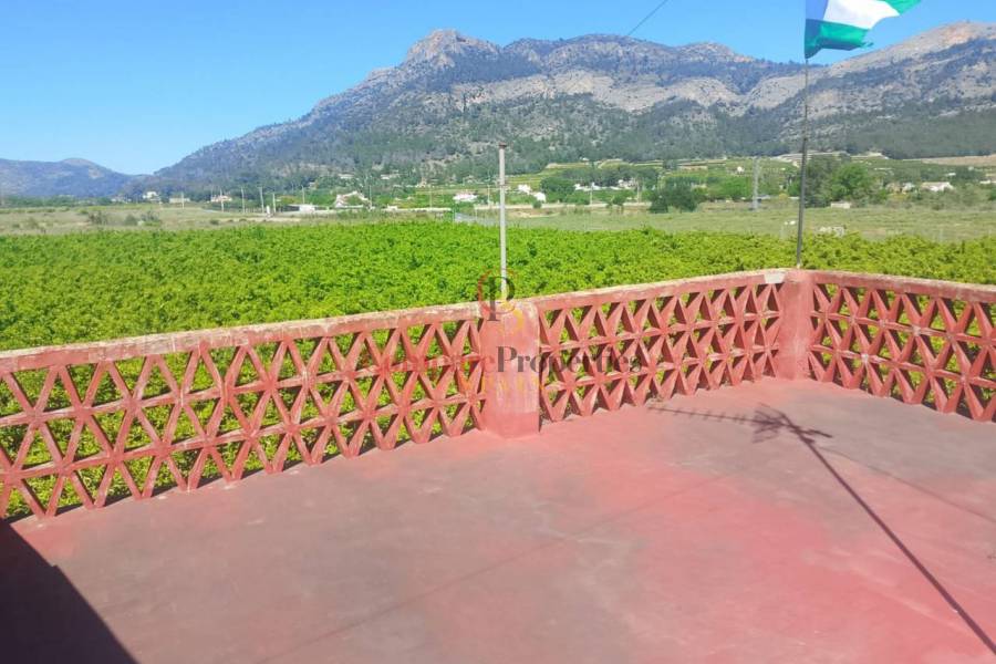 Sale - Apartment - Ador - 