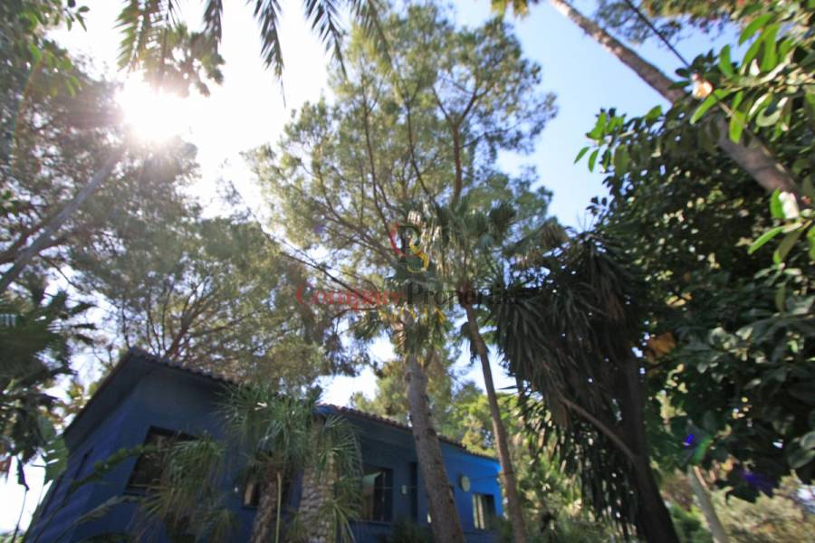 Sale - Villa - Orba Valley - Casco urbano