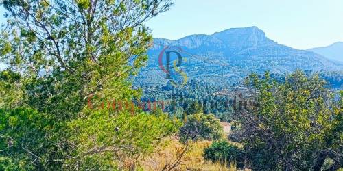 Apartment - Sale - Benissa - Benissa
