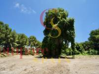 Sale - Plot - Moraira - La Cometa