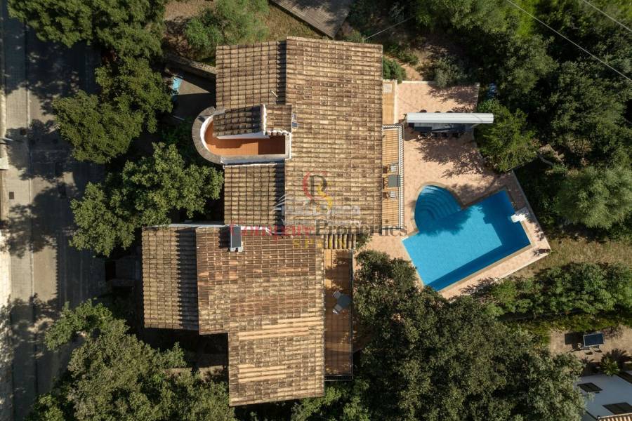 Vente - Apartment - Sa Pobla - Mallorca