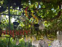 Sale - Townhouses - Orba Valley - Castell de castells