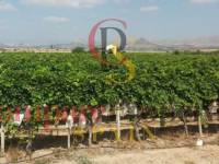 Sale - Bungalow - Monforte del Cid - Alenda Golf