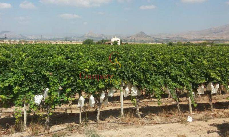 Sale - Bungalow - Monforte del Cid - Alenda Golf