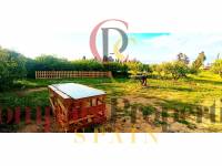 Sale - Apartment - Oliva - 