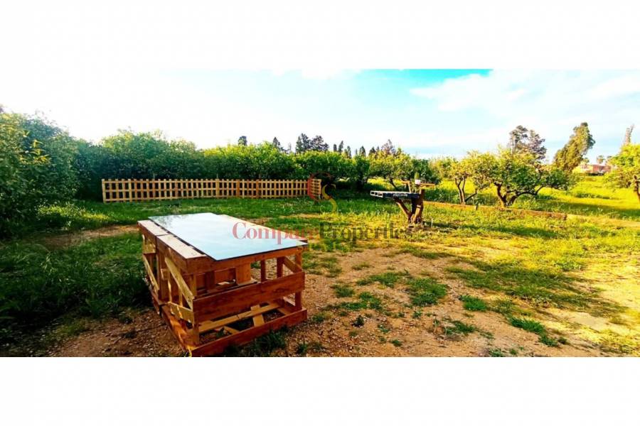 Sale - Apartment - Oliva - 