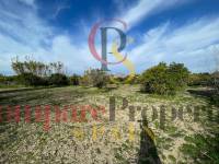 Vente - Villa - Benejuzar - Comunidad Valenciana