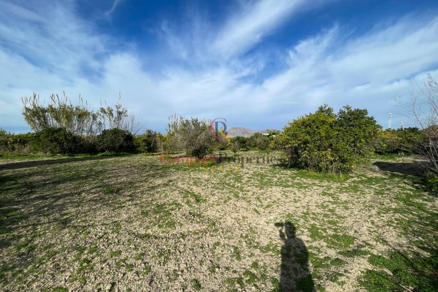 Vente - Villa - Benejuzar - Comunidad Valenciana
