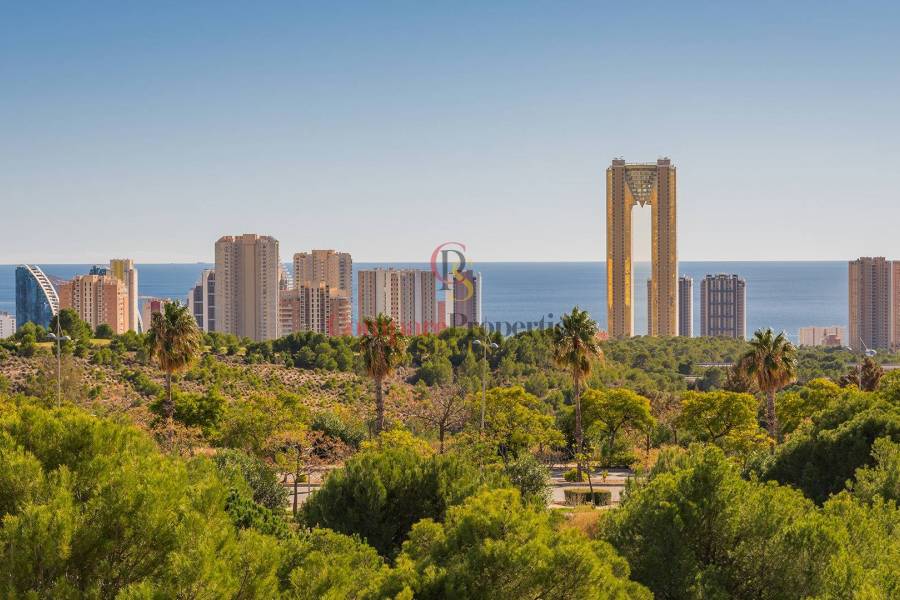 Sale - Apartment - Benidorm - 