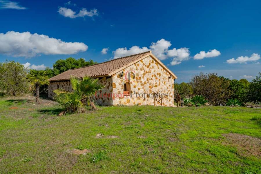 Verkoop - Villa - Benissa - Benissa Rural