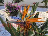 Sale - Apartment - Dénia - Costa Blanca