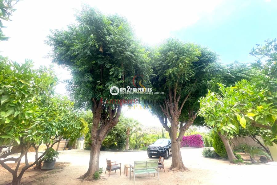 Venta - Villa - Pedreguer