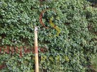 Verkoop - Villa - La Sella - LA SELLA GOLF