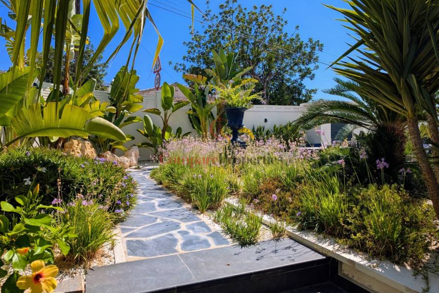 Vente - Villa - Calpe - Calalga