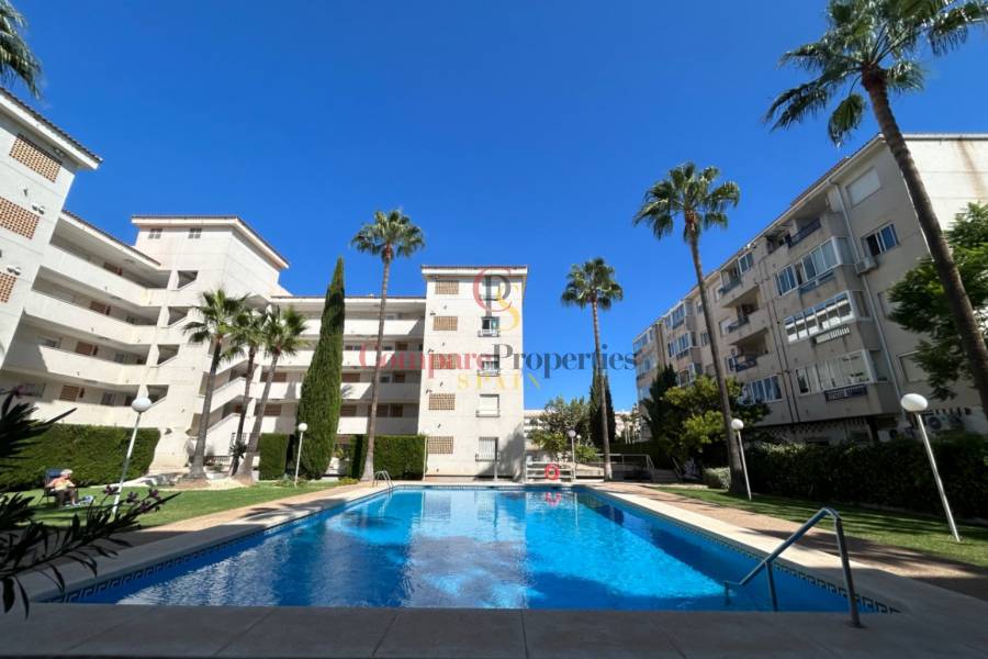 Verkoop - Apartment - Albir - Centro