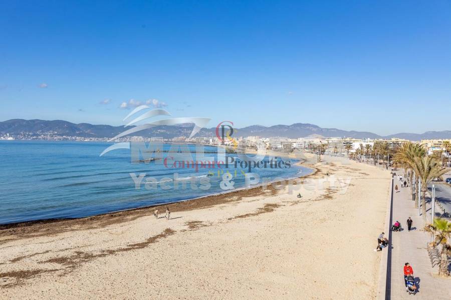 Vente - Apartment - Palma de Mallorca - Ciudad Jardin