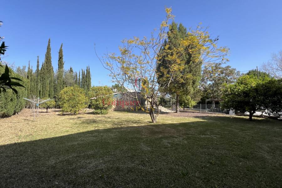 Venta - Villa - Pedreguer