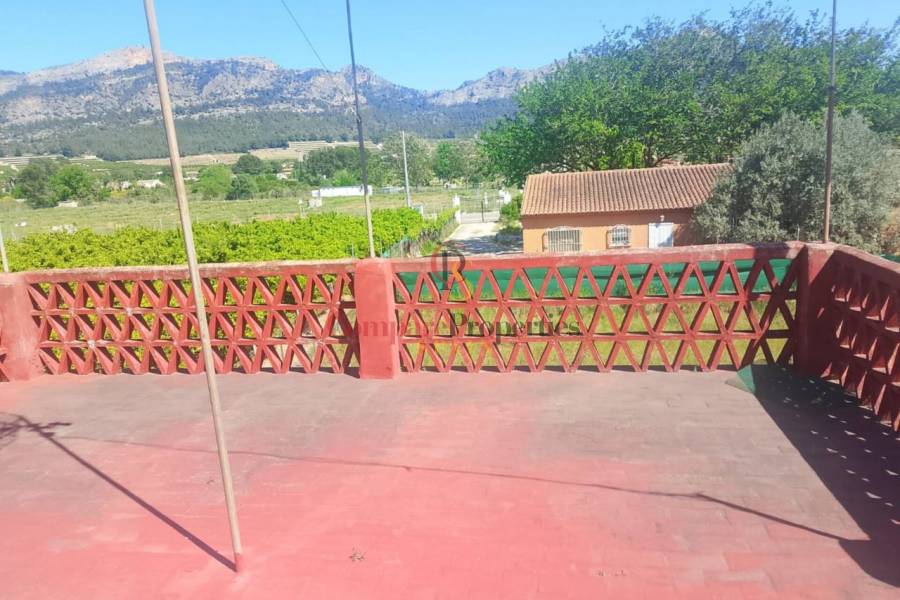 Sale - Apartment - Ador - 