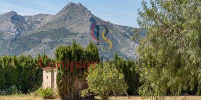 Villa - Sale - Orba Valley - Alicante, Orba Valley