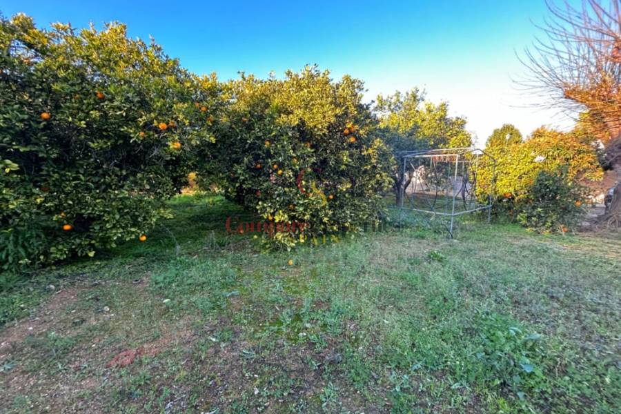 Venta - Villa - Pedreguer - 