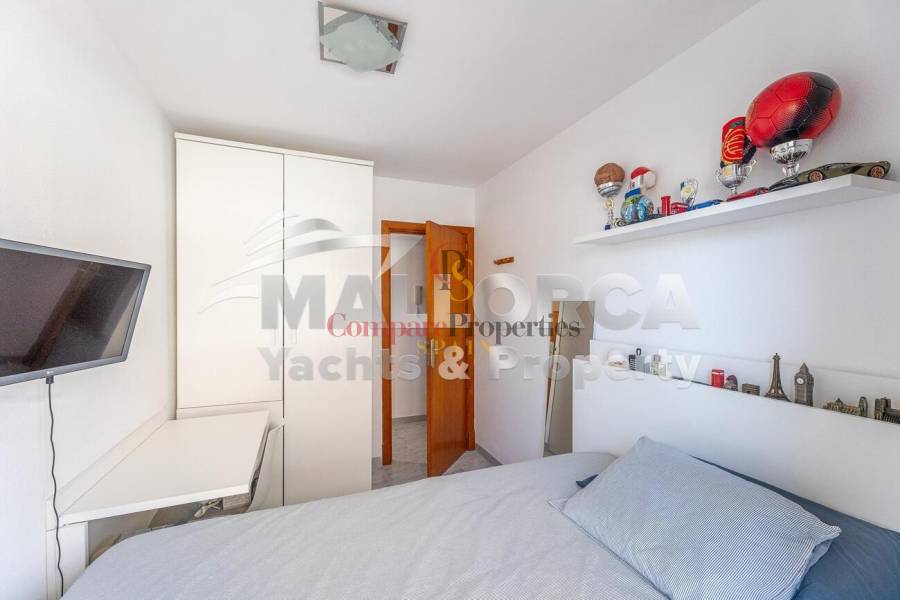 Vente - Apartment - Palma de Mallorca - Ciudad Jardin