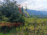 Vente - Townhouses - Pego