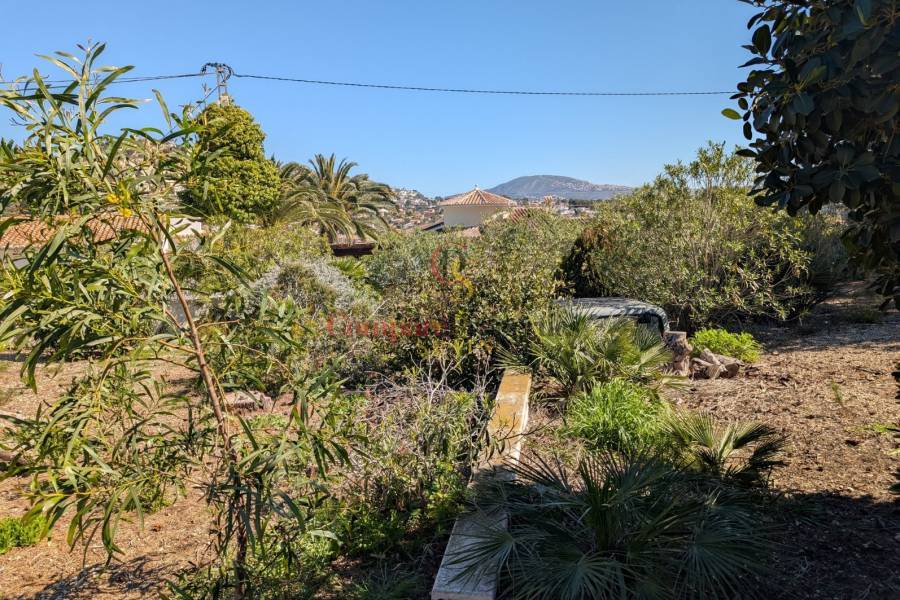 Venta - Plot - Benissa - Buenavista