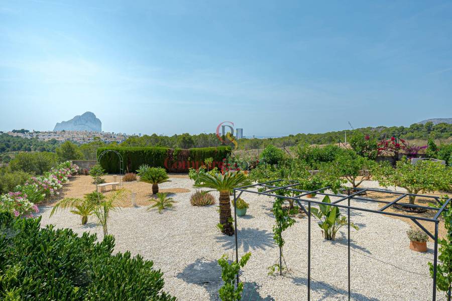 Verkoop - Villa - Calpe - 