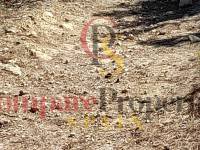 Verkauf - Plot - Orba Valley - 