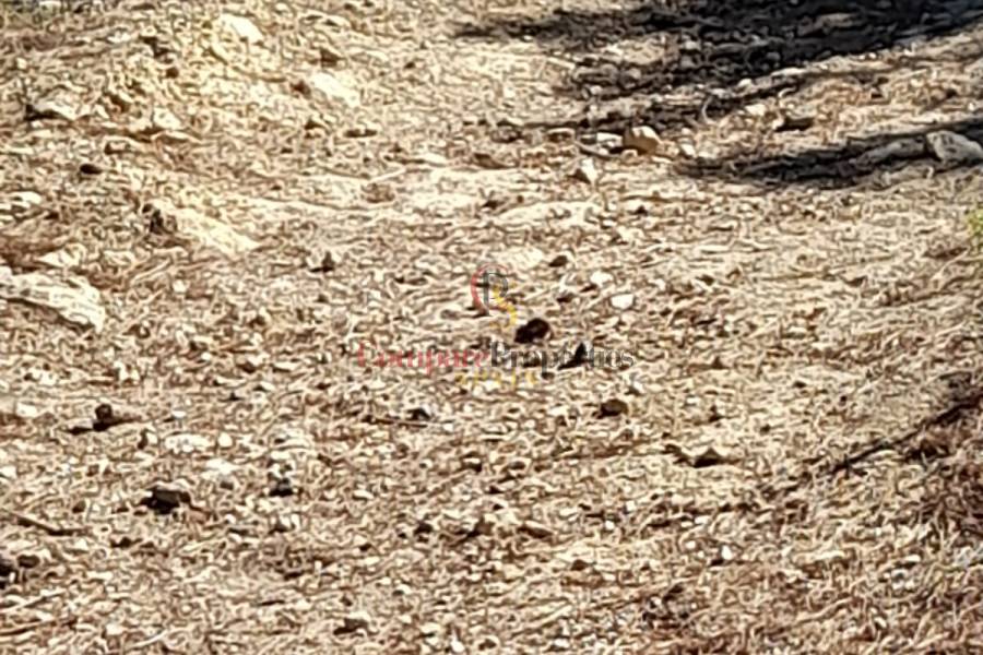 Verkauf - Plot - Orba Valley - 