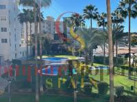 Verkoop - Apartment - Albir - Centro