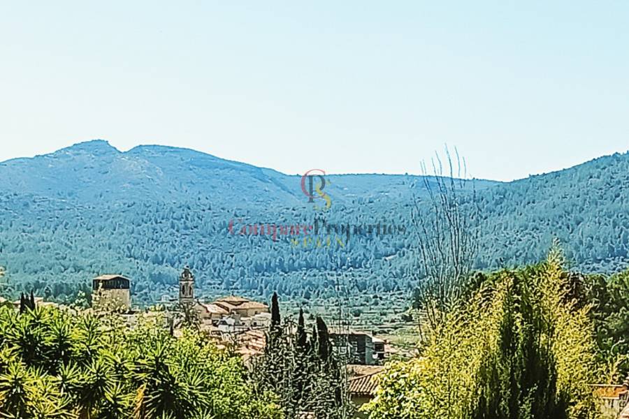 Verkauf - Villa - Jalon Valley - Alcalali