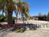 Verkoop - Villa - Crevillente