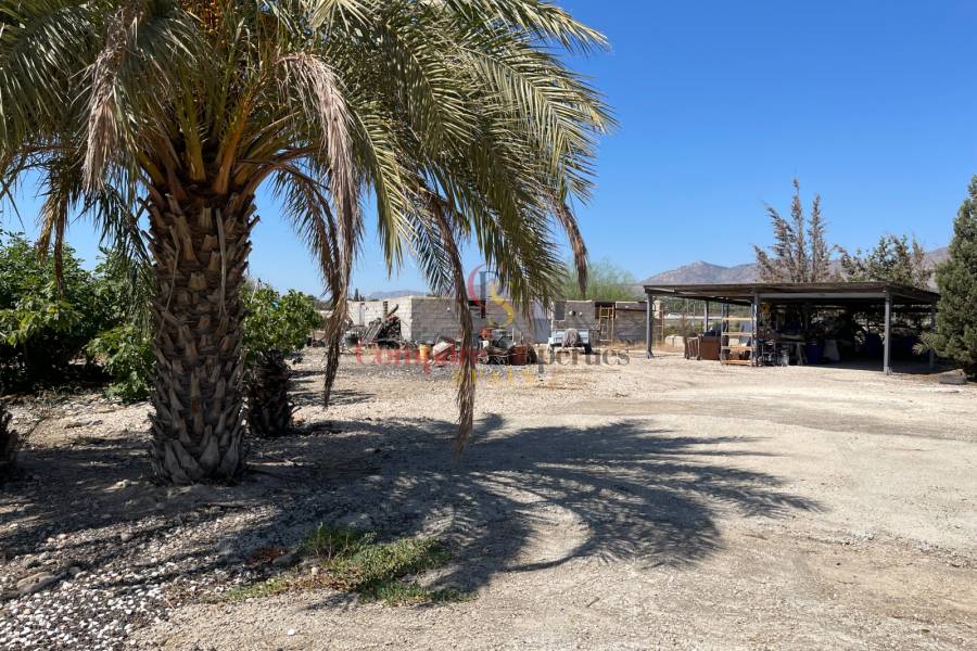 Verkoop - Villa - Crevillente