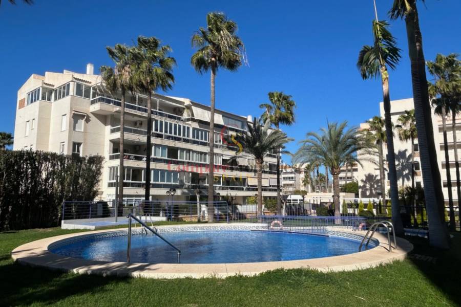 Sale - Apartment - Albir - Centro