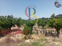 Sale - Apartment - La Font d'en Carròs - La Font d'en Carrós