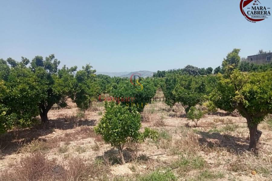 Sale - Apartment - La Font d'en Carròs - La Font d'en Carrós