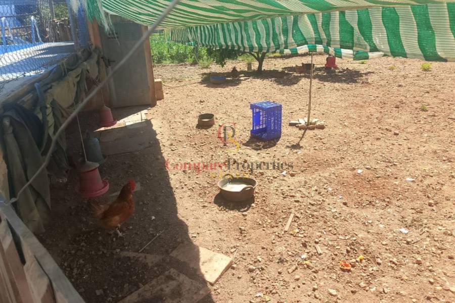 Sale - Apartment - Ador - 