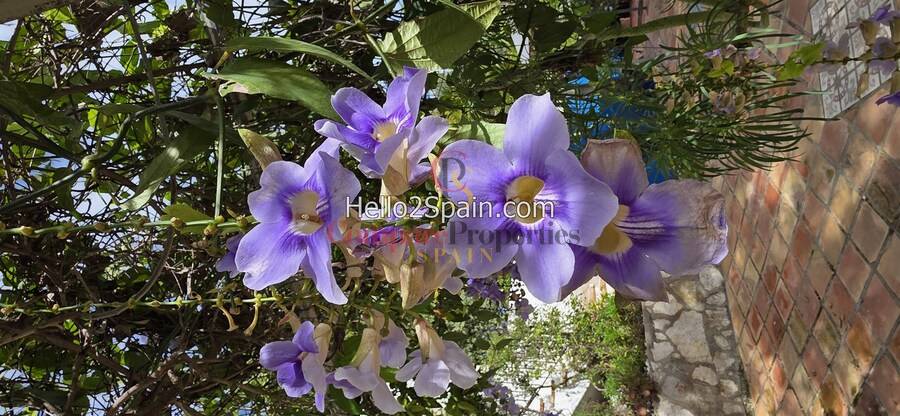 Venta - Villa - Oliva