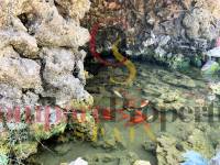 Venta - Villa - El Vergel