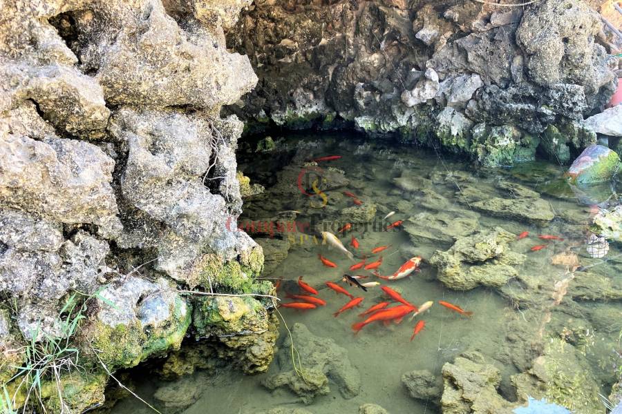 Venta - Villa - El Vergel