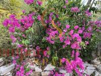 Venta - Villa - Oliva