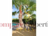 Vente - Villa - Rojales - Ciudad Quesada