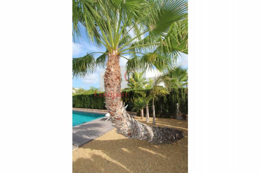 Vente - Villa - Rojales - Ciudad Quesada