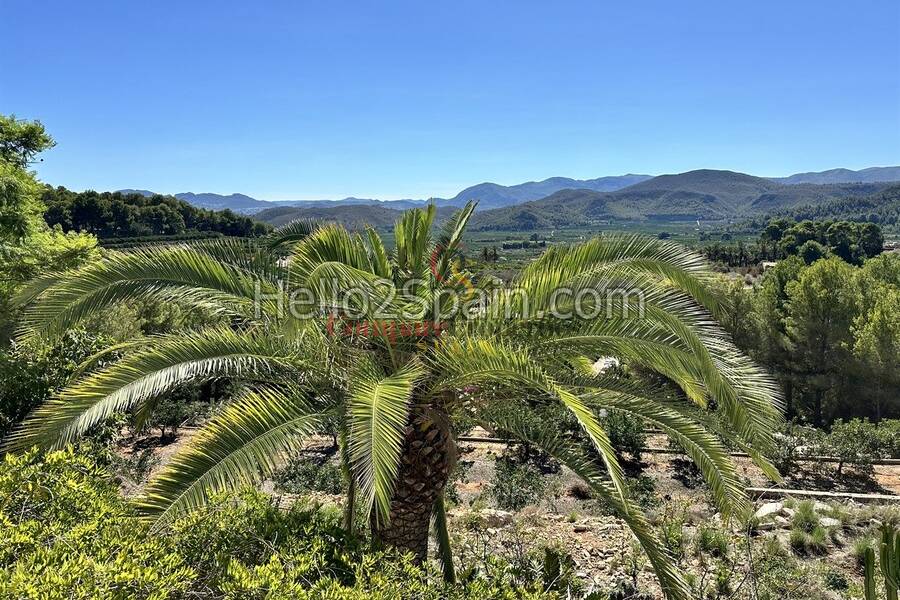 Venta - Villa - Oliva