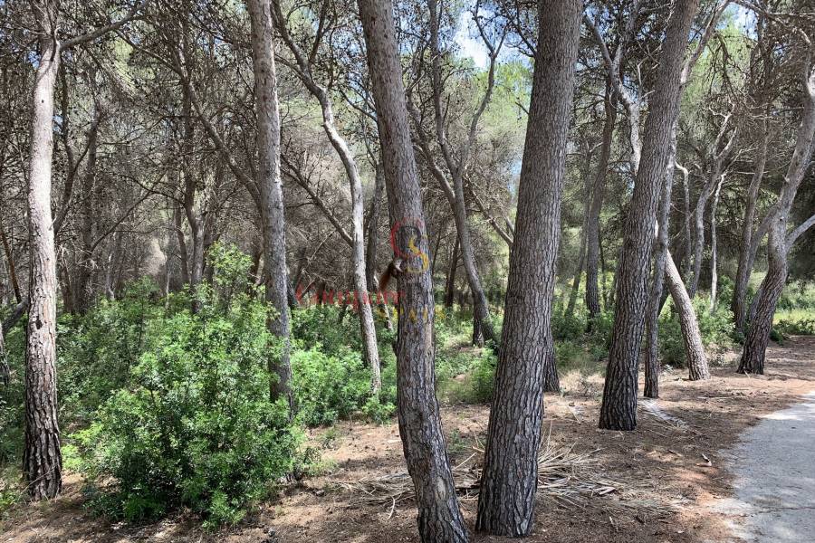 Verkauf - Plot - Moraira - 