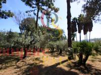Sale - Villa - Orba Valley - Casco urbano